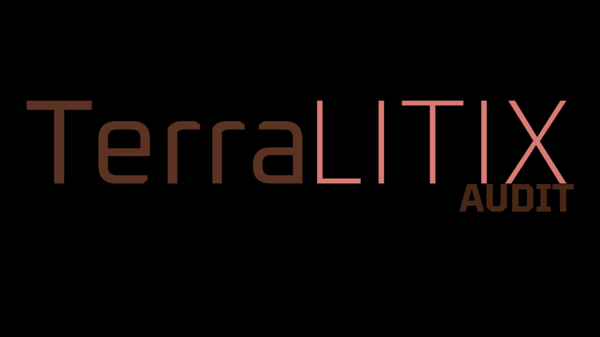 TerraLitix Audit