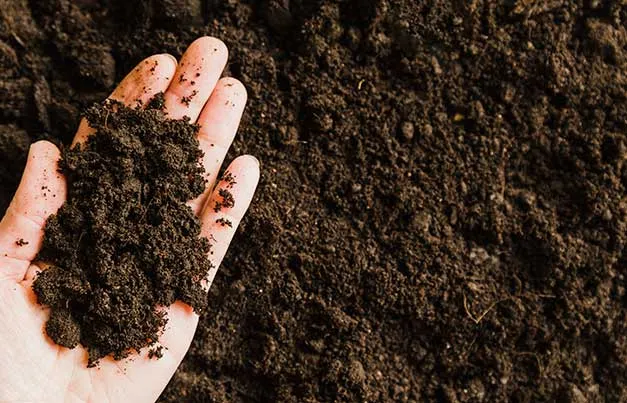 Acceso a información técnica - Visualización