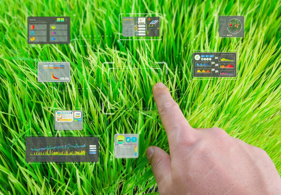 Dashboard de la plataforma TerraLitix - Módulo de gestión